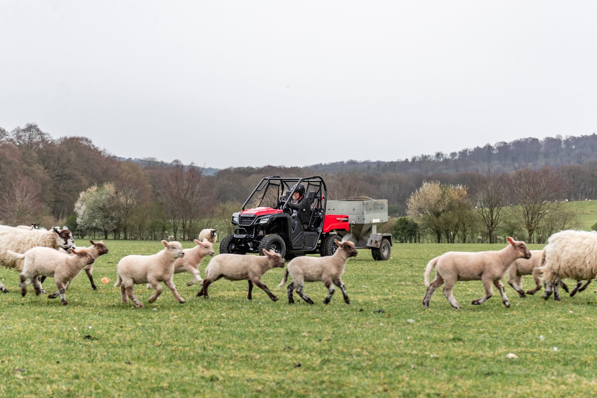Combining the benefits of side by sides and ATVs